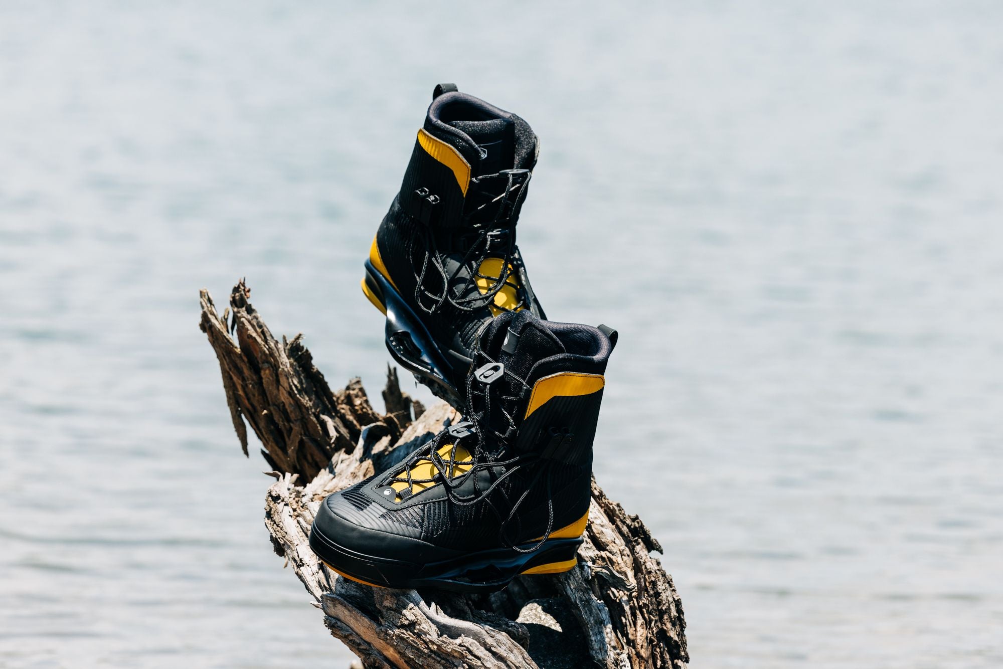 Liquid Force 2025 Vertex 6x Boots placed in a tree with water in the background