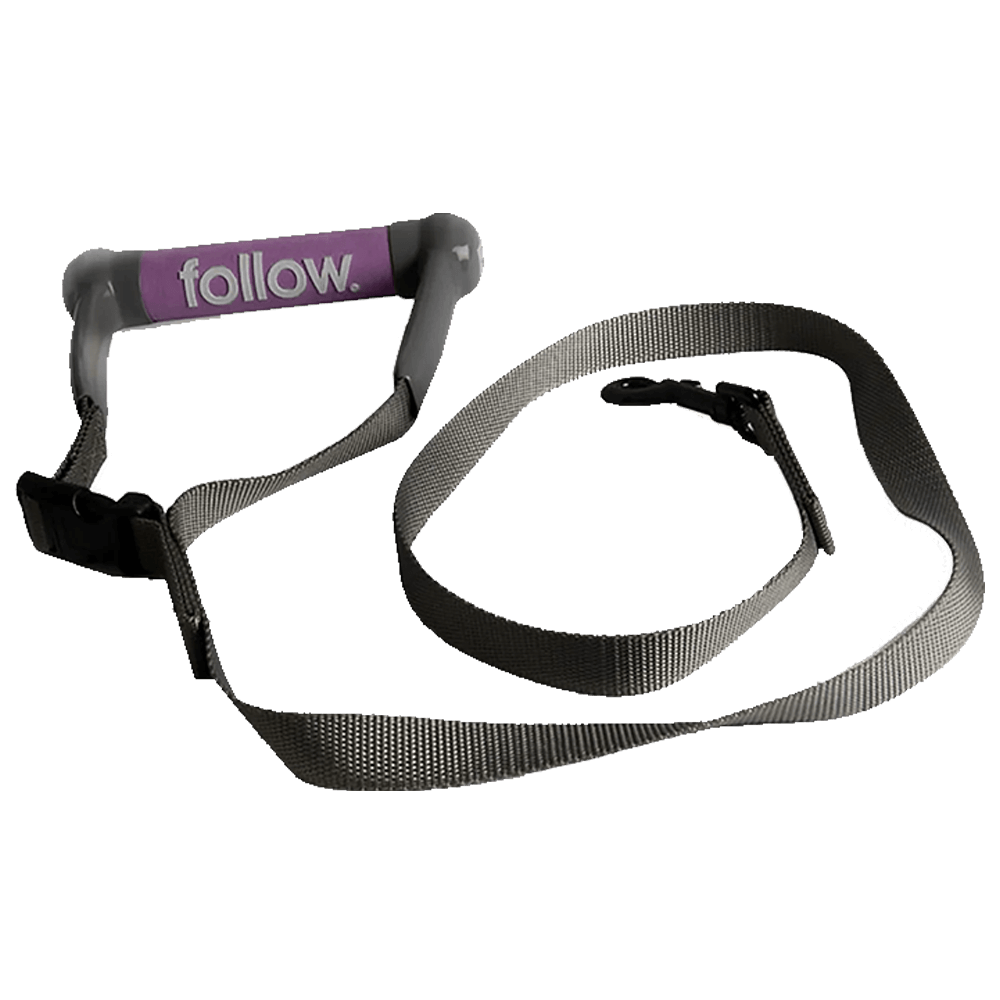 Follow Dog Lead - Pink